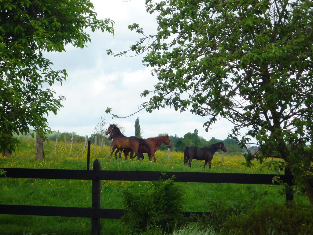 Bed and Breakfast Au Mesnil Le Bas Bray Bures-en-Bray Exterior foto