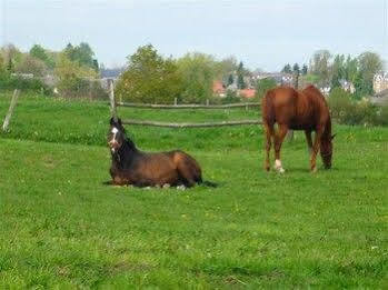 Bed and Breakfast Au Mesnil Le Bas Bray Bures-en-Bray Exterior foto